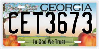 GA license plate CET3673