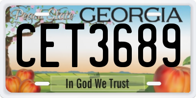 GA license plate CET3689