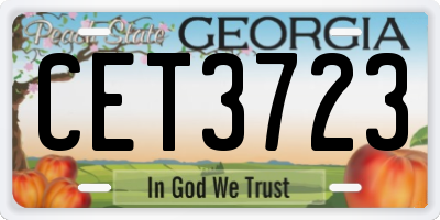 GA license plate CET3723