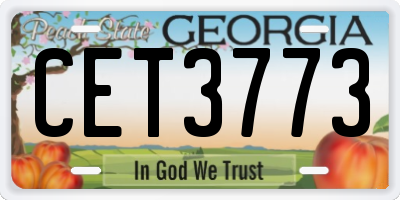 GA license plate CET3773