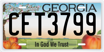 GA license plate CET3799