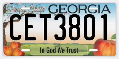 GA license plate CET3801