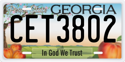 GA license plate CET3802