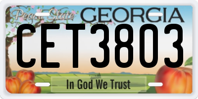 GA license plate CET3803
