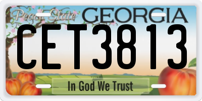 GA license plate CET3813