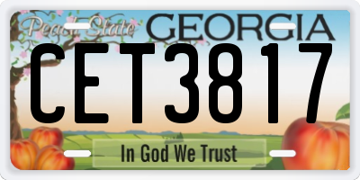 GA license plate CET3817