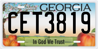 GA license plate CET3819