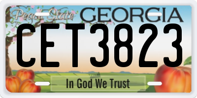 GA license plate CET3823