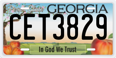 GA license plate CET3829