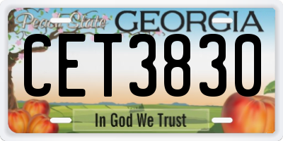 GA license plate CET3830