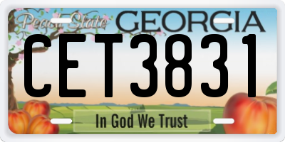 GA license plate CET3831