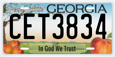 GA license plate CET3834