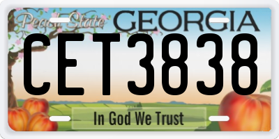 GA license plate CET3838