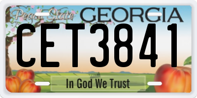 GA license plate CET3841