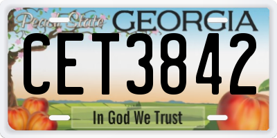 GA license plate CET3842