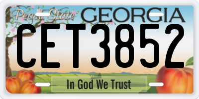 GA license plate CET3852