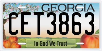 GA license plate CET3863