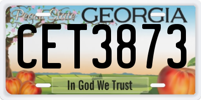 GA license plate CET3873