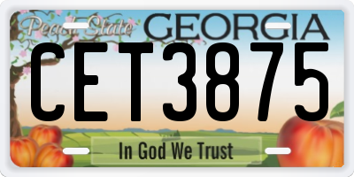 GA license plate CET3875
