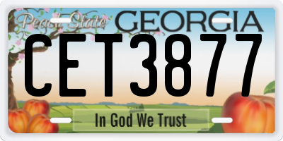 GA license plate CET3877
