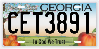GA license plate CET3891