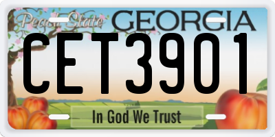 GA license plate CET3901