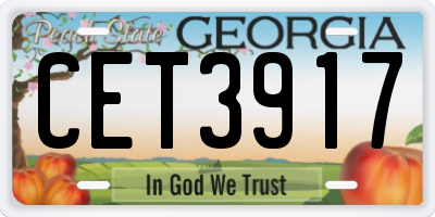 GA license plate CET3917