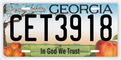 GA license plate CET3918