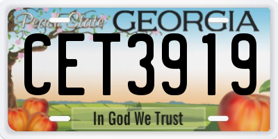 GA license plate CET3919