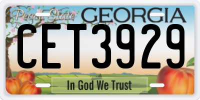 GA license plate CET3929