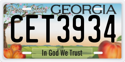 GA license plate CET3934
