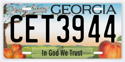 GA license plate CET3944
