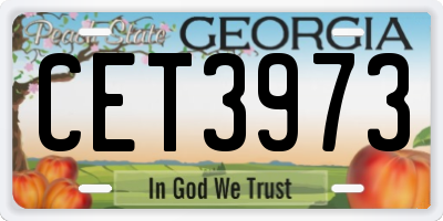 GA license plate CET3973