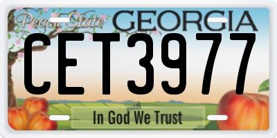 GA license plate CET3977