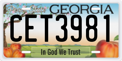 GA license plate CET3981