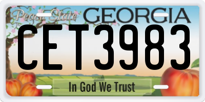 GA license plate CET3983