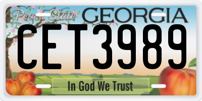 GA license plate CET3989
