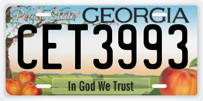GA license plate CET3993