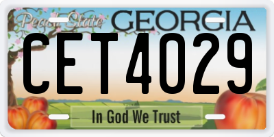 GA license plate CET4029