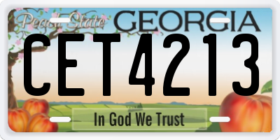 GA license plate CET4213