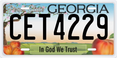 GA license plate CET4229