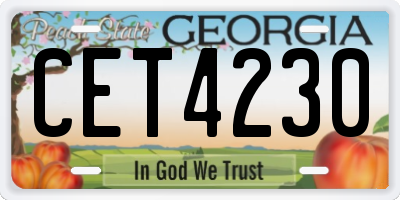 GA license plate CET4230