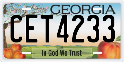 GA license plate CET4233