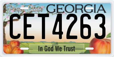 GA license plate CET4263