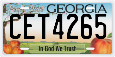 GA license plate CET4265