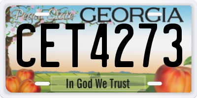 GA license plate CET4273
