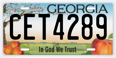 GA license plate CET4289