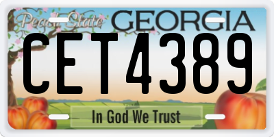 GA license plate CET4389