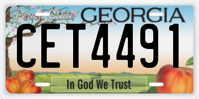 GA license plate CET4491