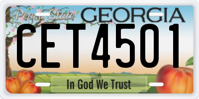 GA license plate CET4501